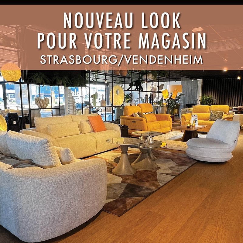 Mise au concept